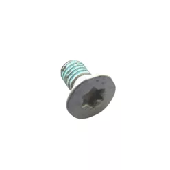 TORX SÜLLYESZTETT FEJŰ CSAVAR M5x10 - 10.9