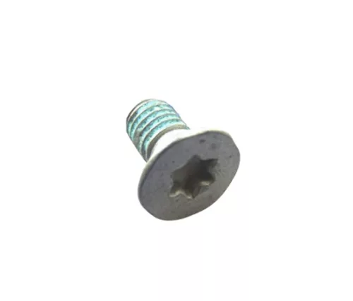 TORX SÜLLYESZTETT FEJŰ CSAVAR M5x10 - 10.9