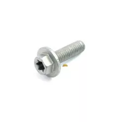 HH COLLAR SCREW M6x13 TX30