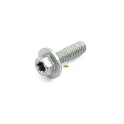 HH COLLAR SCREW M6x13 TX30