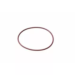 O-RING 60x2 FPM 75SH
