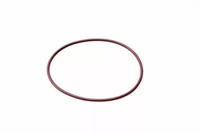 O-RING 60x2 FPM 75SH